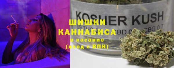 ALPHA PVP Няндома