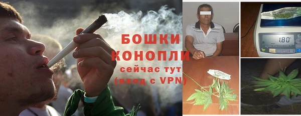 ALPHA PVP Няндома