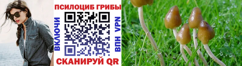 Галлюциногенные грибы Psilocybe  Купить  Кирсанов 